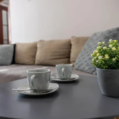 Viki Apartment *