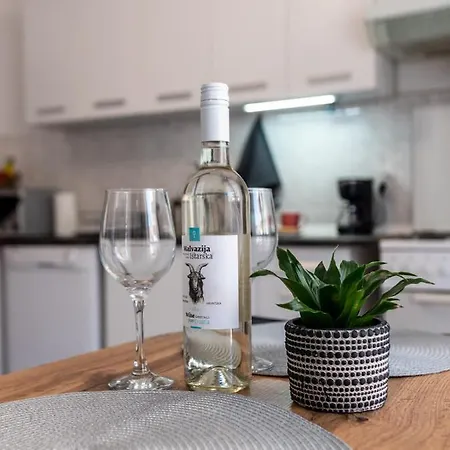 Apartment Viki