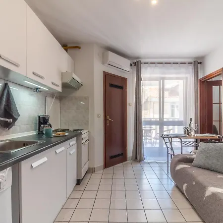 Apartment Viki